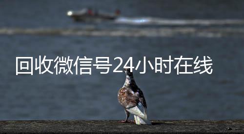 回收微信号24小时在线秒结(回收微信号网站)